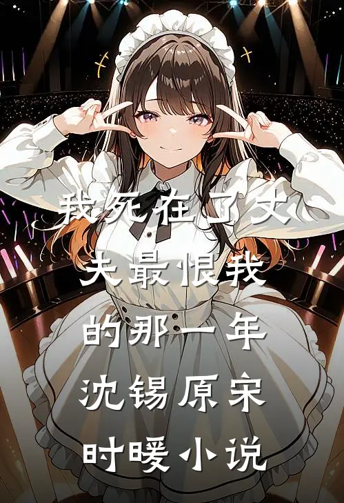 我死在了丈夫最恨我的那一年沈锡原宋时暖小说