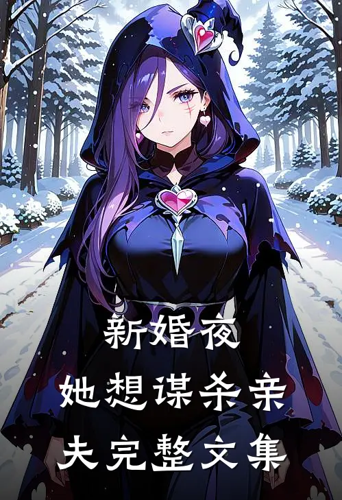 新婚夜，她想谋杀亲夫完整文集