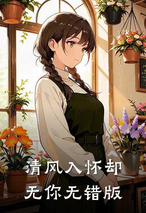 清风入怀却无你无错版