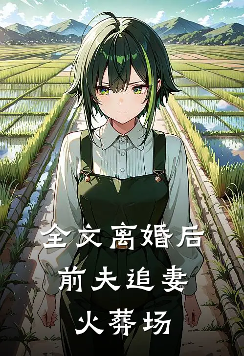 全文离婚后，前夫追妻火葬场
