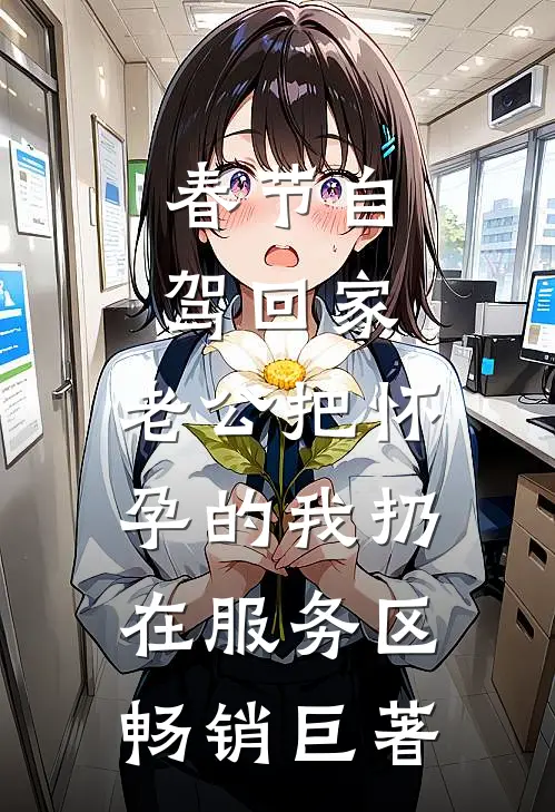 春节自驾回家，老公把怀孕的我扔在服务区畅销巨著