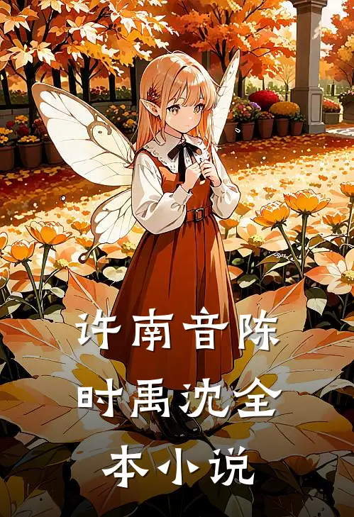 许南音陈时禹沈全本小说