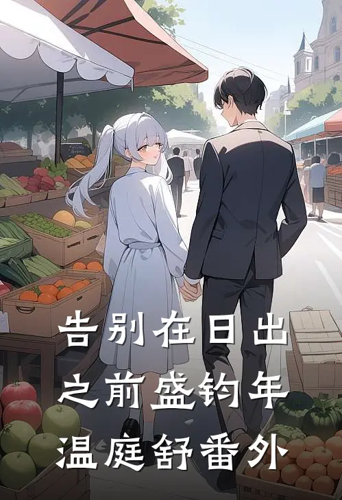 告别在日出之前盛钧年温庭舒番外