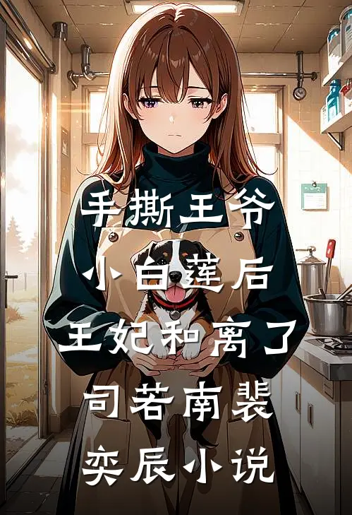 手撕王爷小白莲后，王妃和离了司若南裴奕辰小说