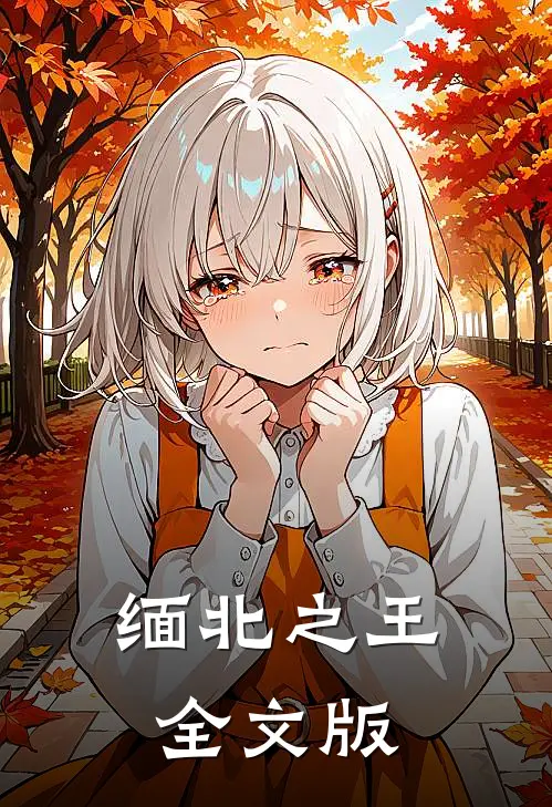 缅北之王全文版