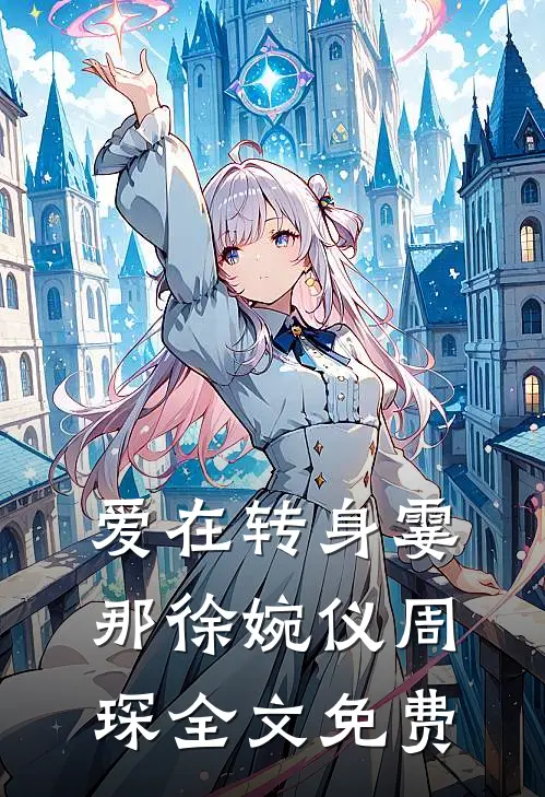 爱在转身霎那徐婉仪周琛全文免费
