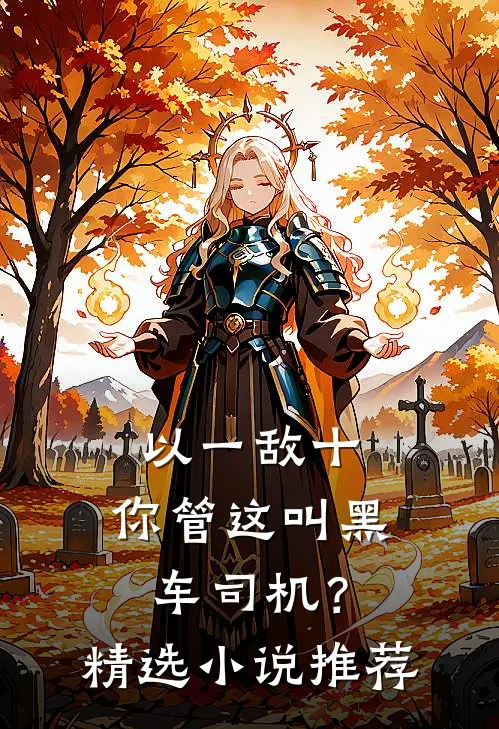 以一敌十，你管这叫黑车司机？精选小说推荐