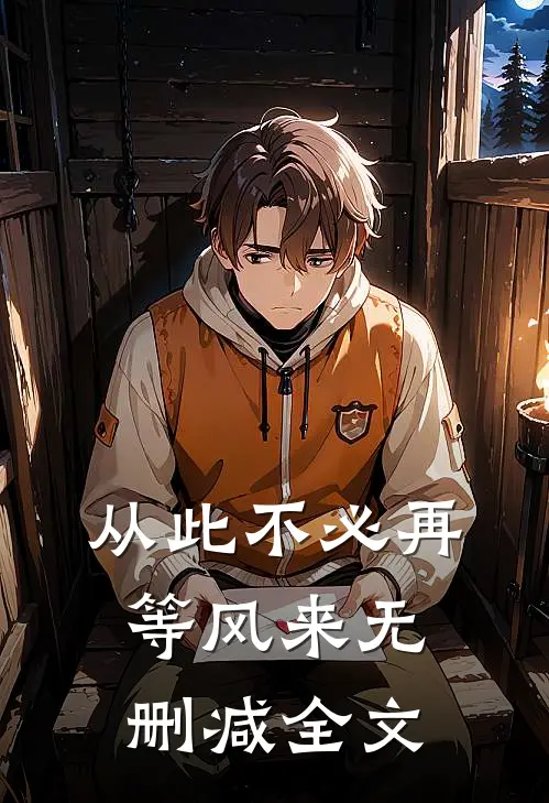 从此不必再等风来无删减全文