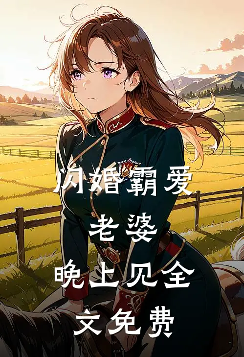 闪婚霸爱：老婆，晚上见全文免费