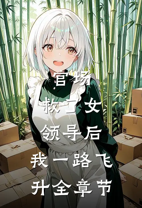 官场：救了女领导后，我一路飞升全章节