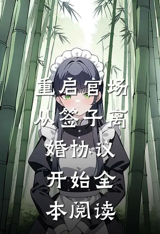 重启官场：从签子离婚协议开始全本阅读
