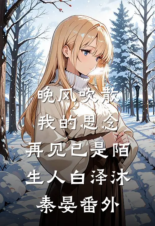 晚风吹散我的思念，再见已是陌生人白泽沐秦晏番外