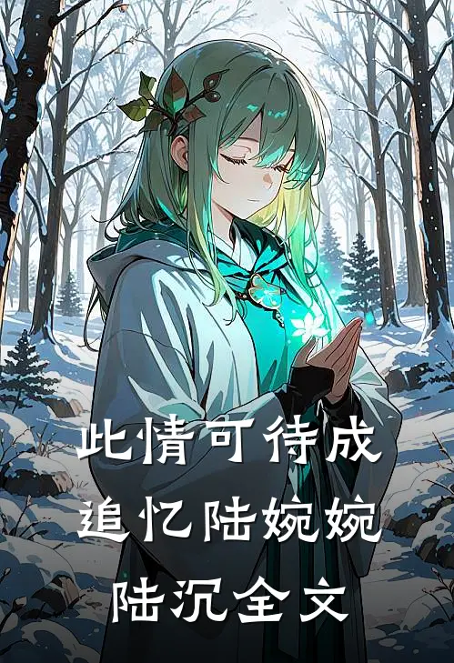 此情可待成追忆陆婉婉陆沉全文