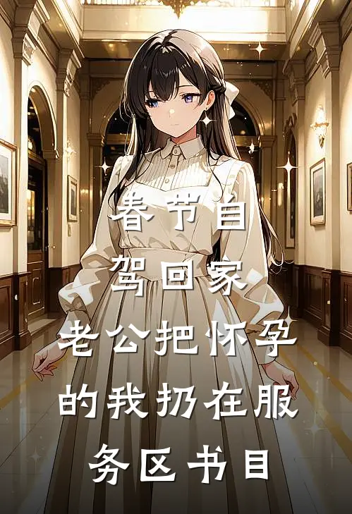 春节自驾回家，老公把怀孕的我扔在服务区书目