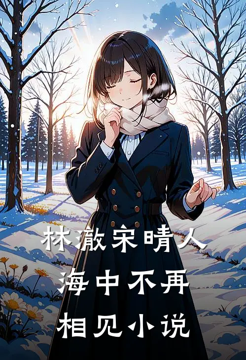 林澈宋晴人海中不再相见小说
