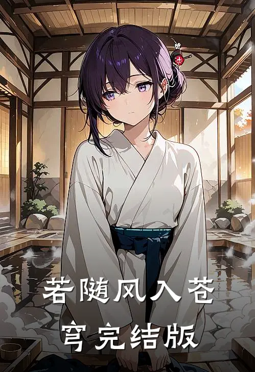 若随风入苍穹完结版