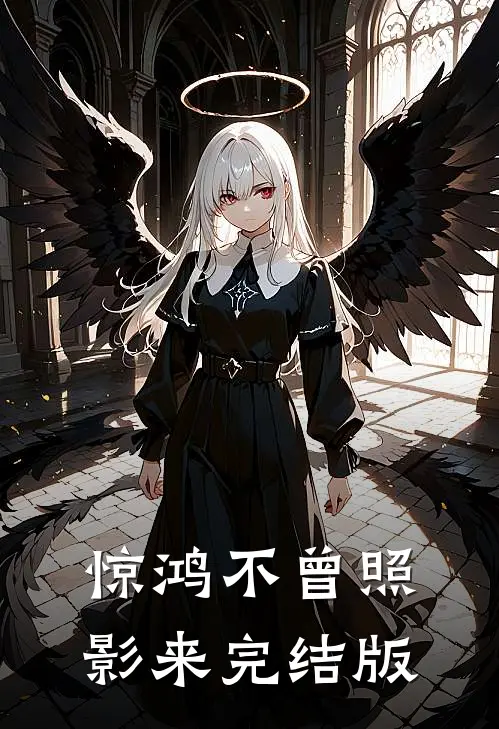 惊鸿不曾照影来完结版