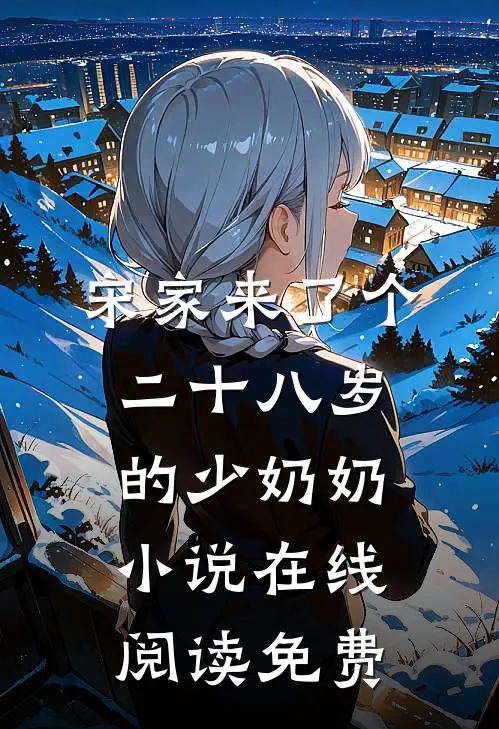 宋家来了个二十八岁的少奶奶小说在线阅读免费