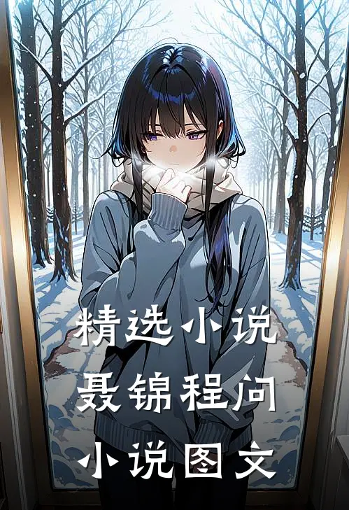 精选小说聂锦程问小说图文