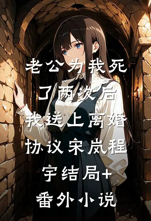老公为我死了两次后，我送上离婚协议宋岚程宇结局+番外小说