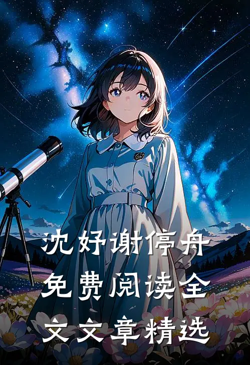 沈妤谢停舟免费阅读全文文章精选