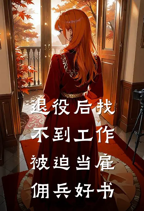 退役后找不到工作，被迫当雇佣兵好书