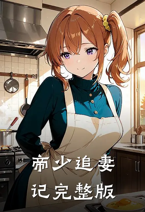 帝少追妻记完整版