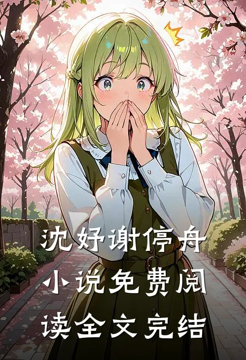 沈妤谢停舟小说免费阅读全文完结