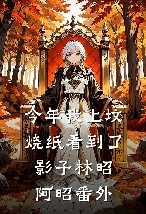 今年我上坟烧纸看到了影子林昭阿昭 番外