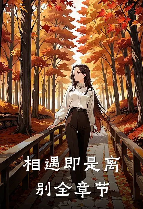 相遇即是离别全章节
