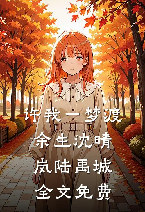 许我一梦渡余生沈晴岚陆禹城全文免费