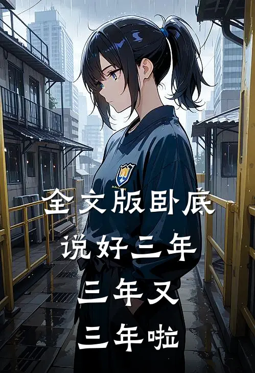全文版卧底：说好三年，三年又三年啦