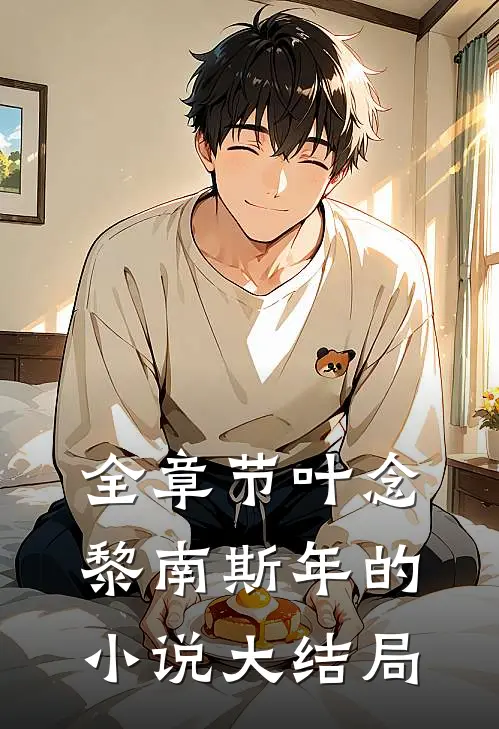 全章节叶念黎南斯年的小说大结局