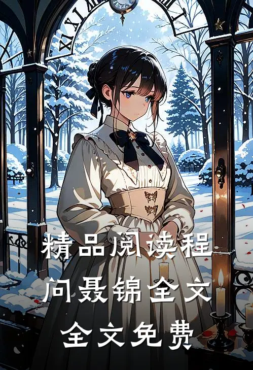 精品阅读程问聂锦全文全文免费