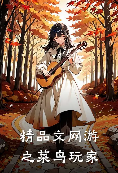精品文网游之菜鸟玩家