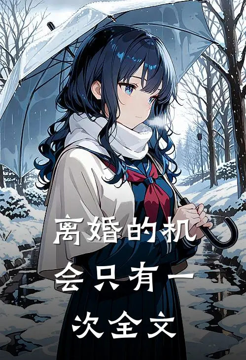 离婚的机会只有一次全文