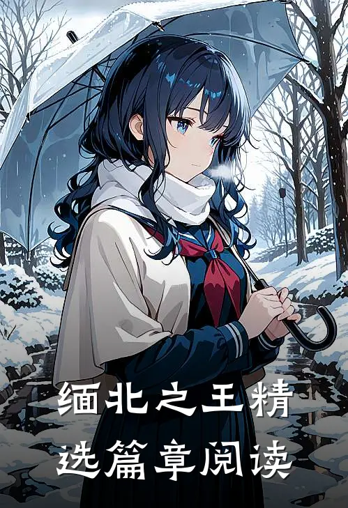 缅北之王精选篇章阅读