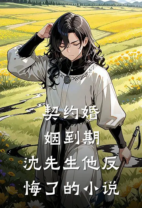 契约婚姻到期，沈先生他反悔了的小说