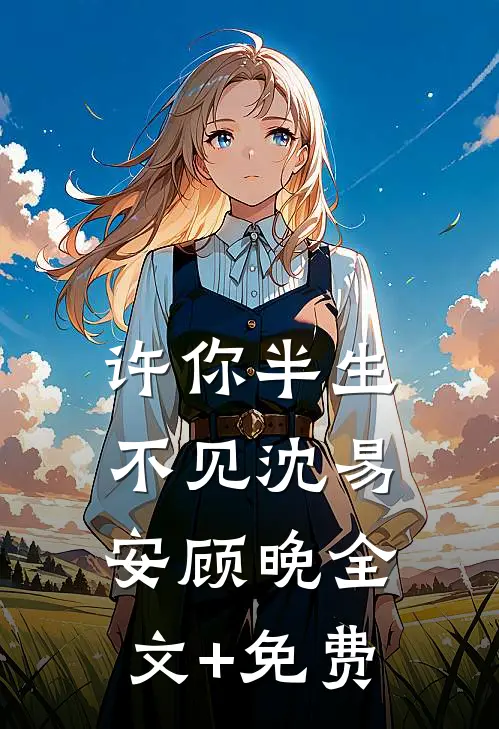 许你半生不见沈易安顾晚全文+免费