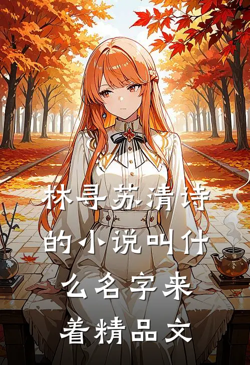 林寻苏清诗的小说叫什么名字来着精品文