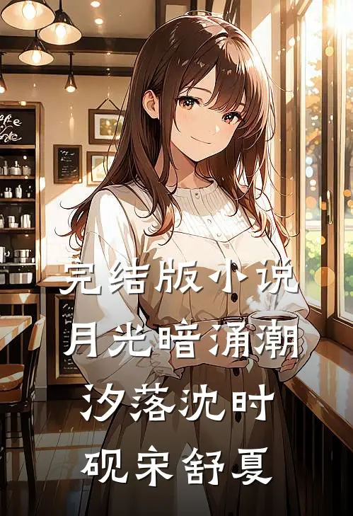 完结版小说月光暗涌潮汐落沈时砚宋舒夏