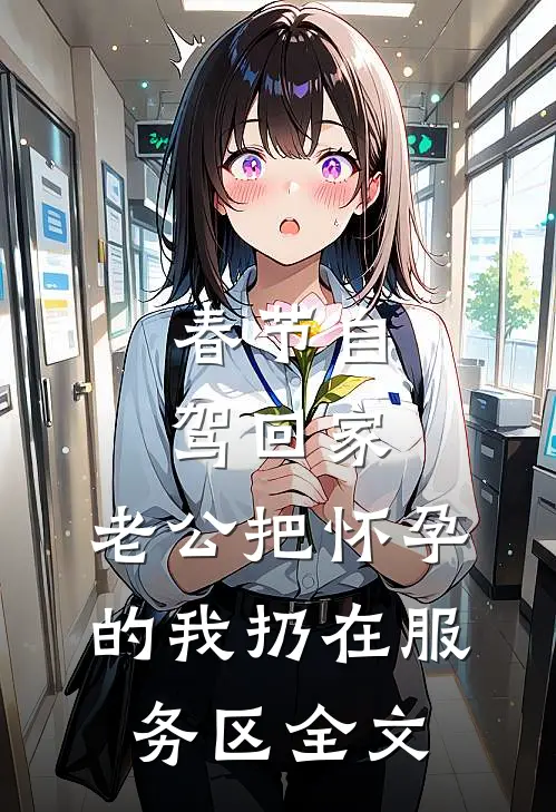 春节自驾回家，老公把怀孕的我扔在服务区全文
